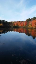 Reflection of trees in calm lake