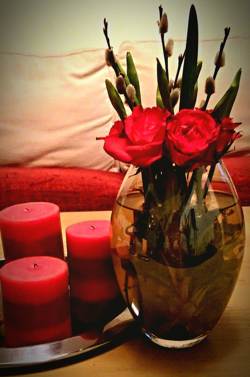 CLOSE-UP OF RED ROSES IN VASE