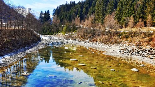 Scenic view of lake in forest during winter