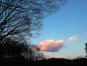 Low angle view of silhouette trees against blue sky