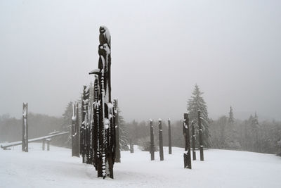 Snow covered land and trees on field against sky