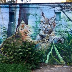 Portrait of an animal on wall
