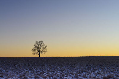 Scenic view of field against clear sky during sunset