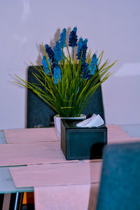 Close-up of potted plant on table