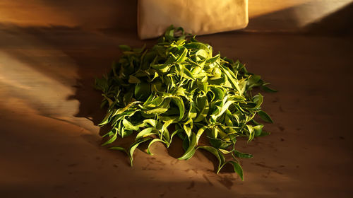 High angle view of vegetables on table