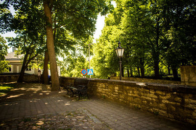 Rear view of man sitting on bench in park