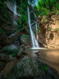 Scenic view of waterfall in forest