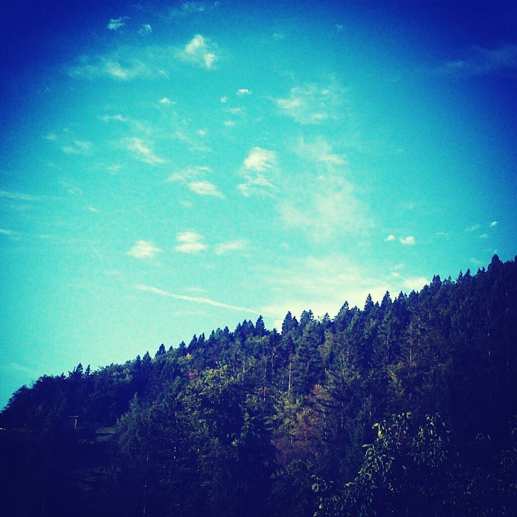 blue, sky, tree, beauty in nature, tranquility, tranquil scene, low angle view, scenics, nature, growth, cloud - sky, landscape, cloud, idyllic, outdoors, plant, non-urban scene, no people, field, sunlight