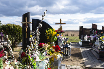 Flowering plants at cemetery against sky