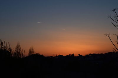 Silhouette trees against sky during sunset