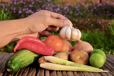 Close-up of hand holding fruit