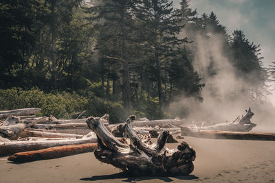 Beach, rocks, water, ocean, sea, mist. secon beach washington state