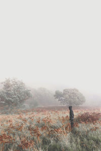 Distant view of man standing at field against sky