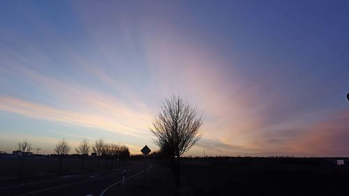 Trees against sky during sunset