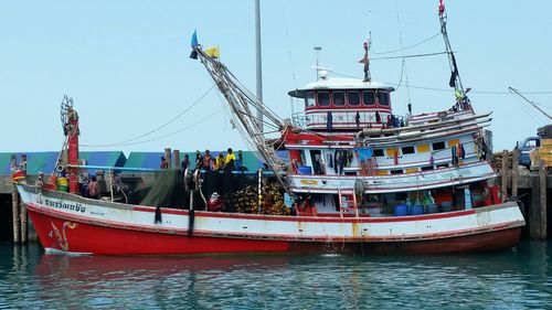 Boats in harbor