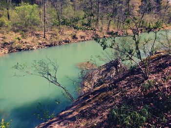 Scenic view of lake with trees in background