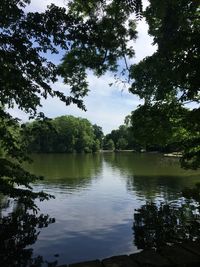 Scenic view of lake in forest against sky