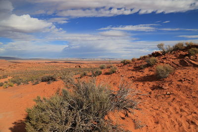 Scenic view of desert against sky