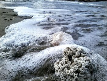 Rocks in sea