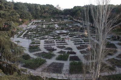 Scenic view of agricultural field