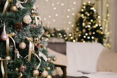 Close-up of christmas tree at night