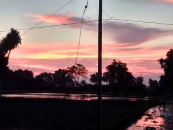 Silhouette trees on field against orange sky