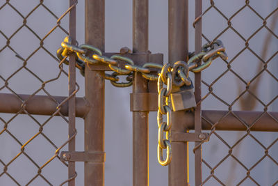 Close-up of padlock on metal fence