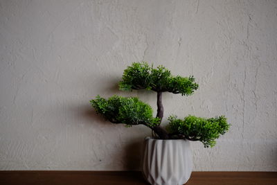 Potted plant on table against wall