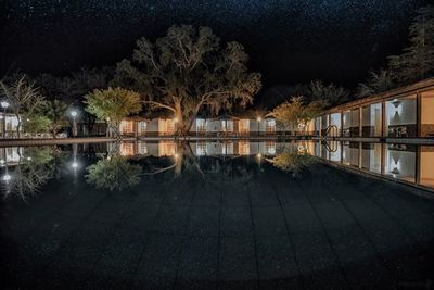 Reflection of trees in water