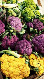 Full frame shot of flowers