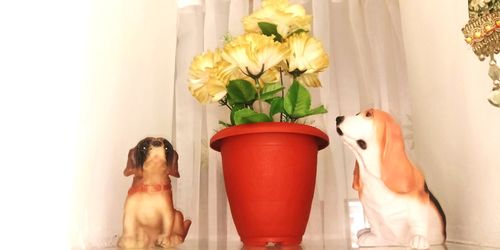 View of dog and flower vase on table
