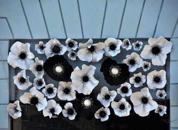 High angle view of white flowers on table