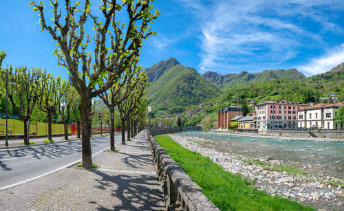 Road by trees and buildings against sky