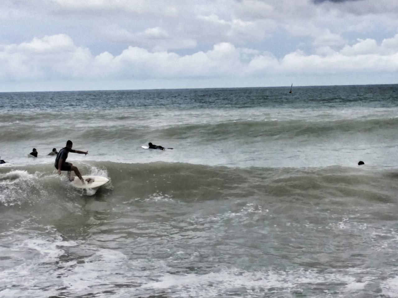 bird, animal themes, animals in the wild, water, wildlife, sea, sky, seagull, swimming, nature, waterfront, cloud - sky, beauty in nature, horizon over water, flying, flock of birds, medium group of animals, tranquility, cloudy