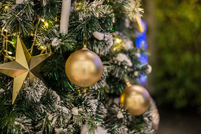 Close-up of christmas tree