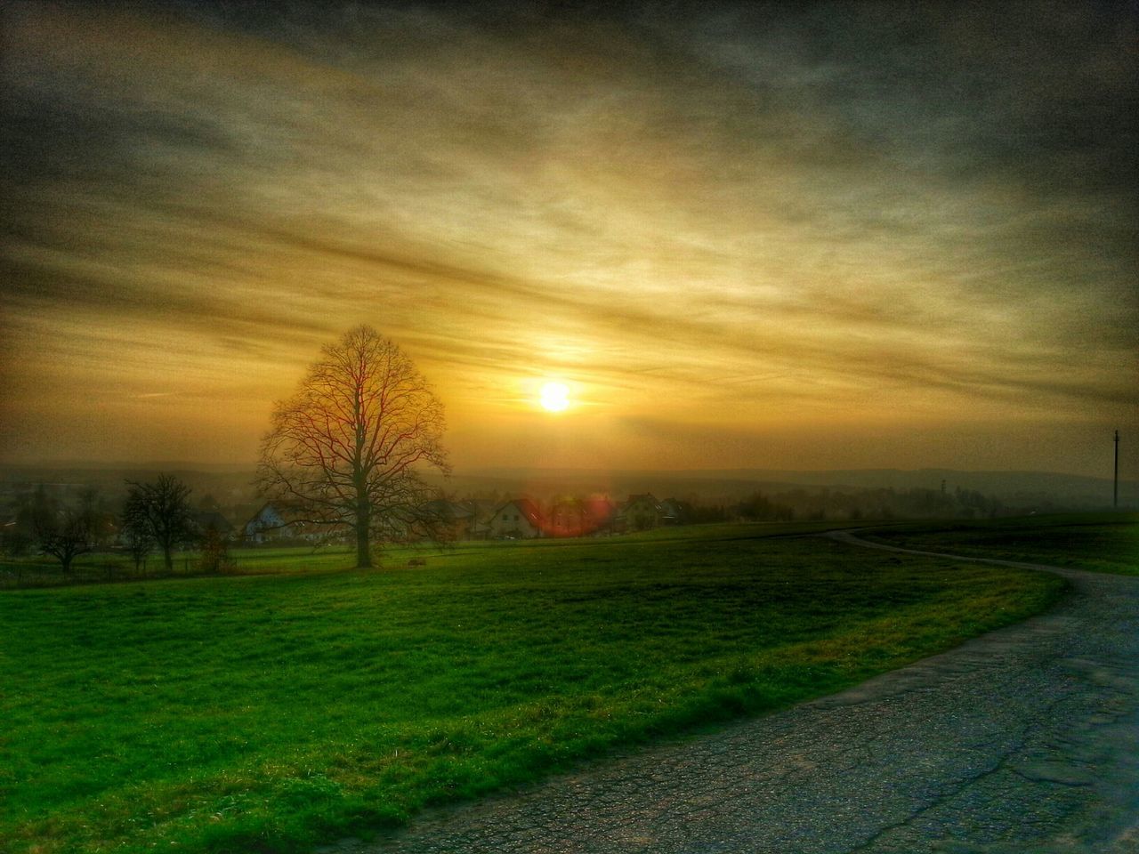 sunset, sun, tranquil scene, landscape, tranquility, field, scenics, sky, beauty in nature, tree, grass, nature, cloud - sky, idyllic, orange color, sunlight, grassy, bare tree, rural scene, growth