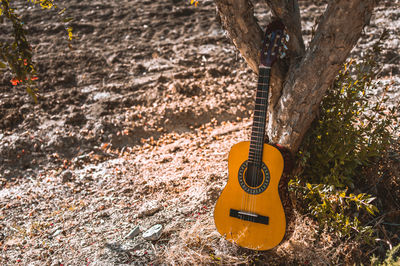 Close-up of guitar on tree trunk