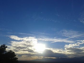 Low angle view of silhouette trees against sky during sunset