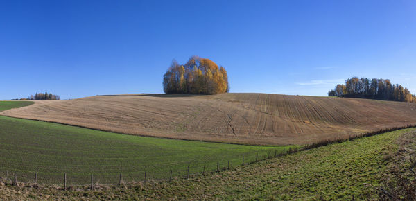 Scenic view of field against blue sky