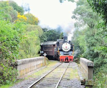 Train on railroad track