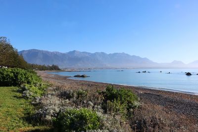 Scenic view of sea against clear blue sky