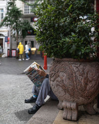 Planter by man reading newspaper
