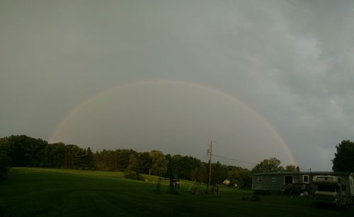 Rainbow over trees against sky