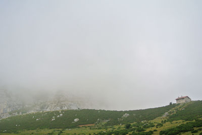 environment