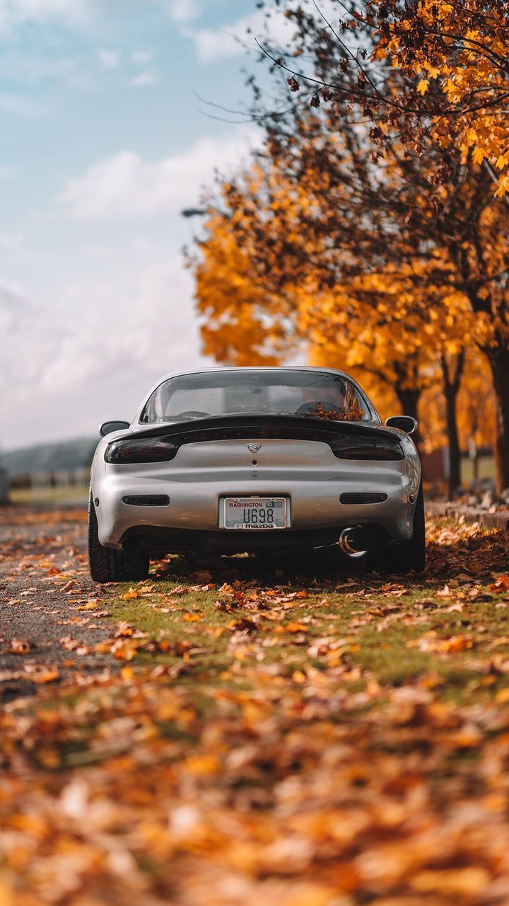 VIEW OF CAR PARKED ON STREET DURING AUTUMN