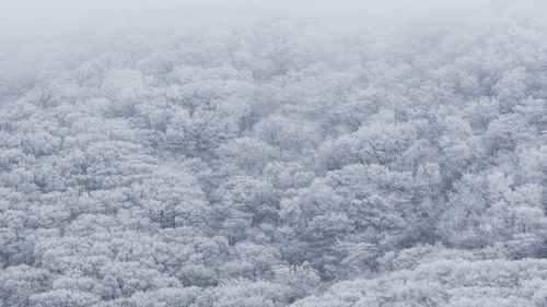 Full frame shot of snow covered mountain