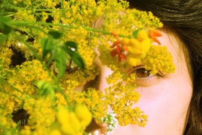 Close-up of yellow flowering plant