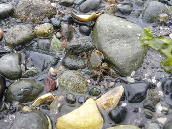 Rocks in shallow water