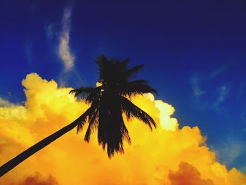 Low angle view of silhouette palm tree against sky