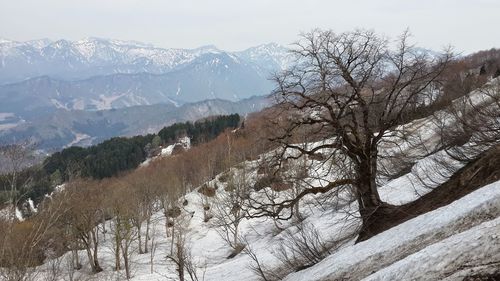 Scenic view of mountains against sky during winter